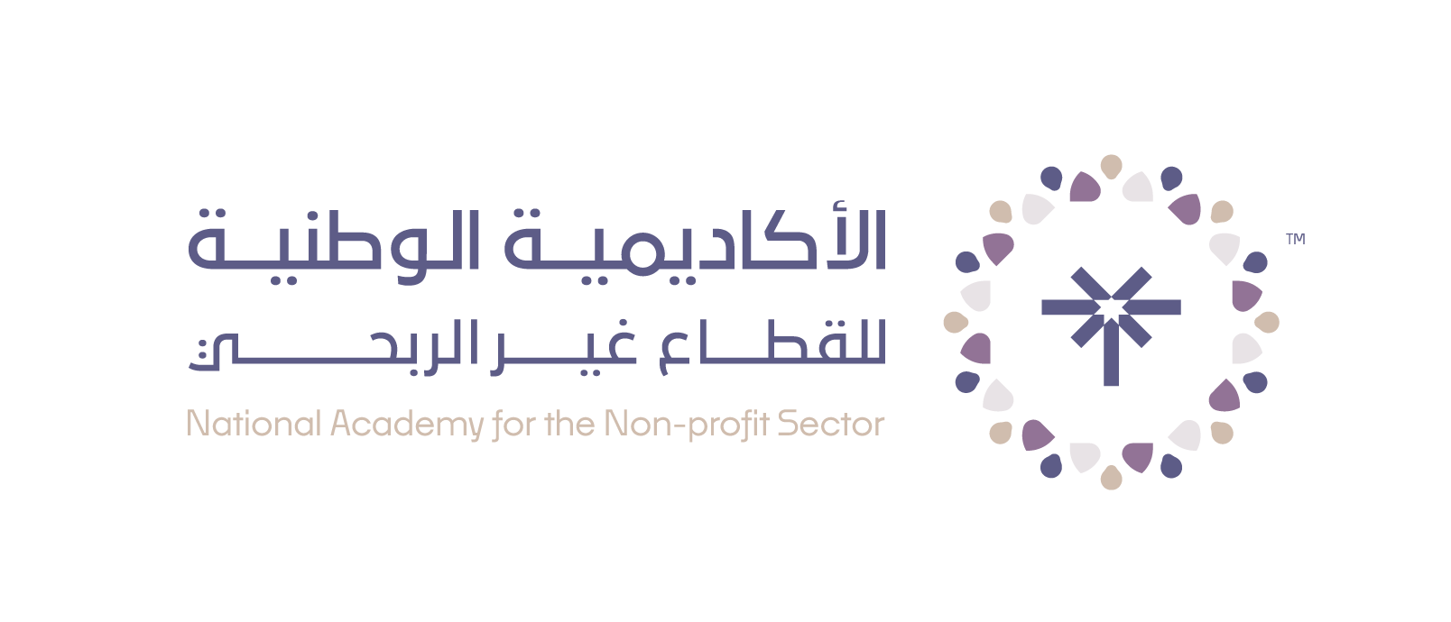 الأكاديمية الوطنية للقطاع غير الربحي